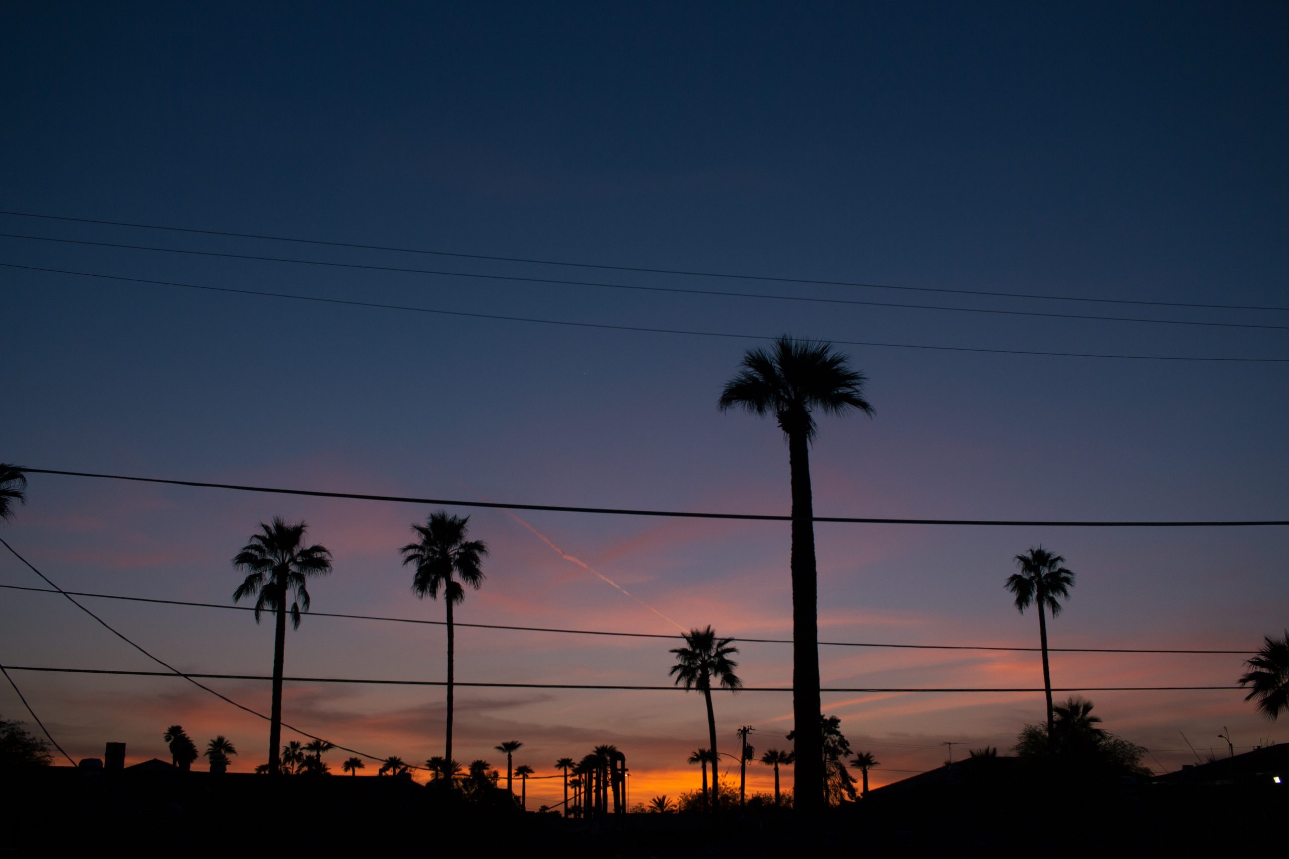 blue to orange sunset with palm tree silhouettes